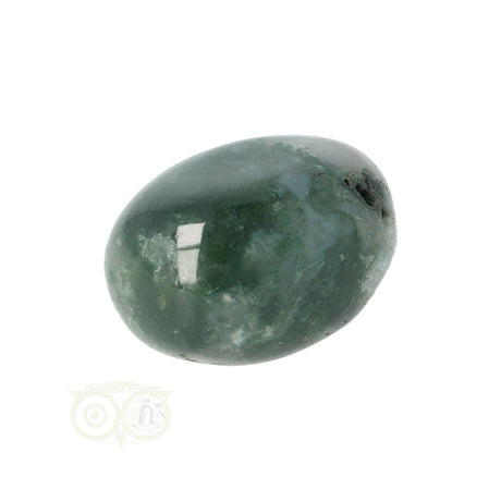 Moss agate tumbled stone round No. 18