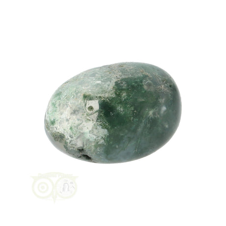 Moss agate tumbled stone round No. 18