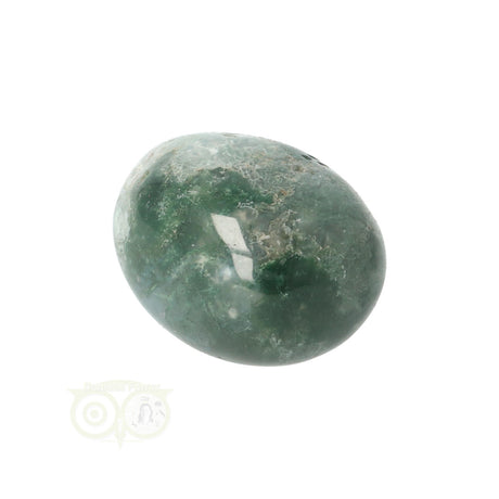 Moss agate tumbled stone round No. 18