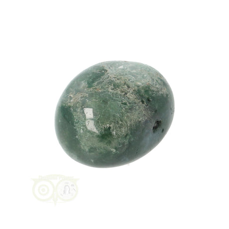 Moss agate tumbled stone round No. 18