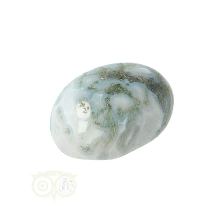 Moss agate tumbled stone round No. 21