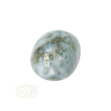 Moss agate tumbled stone round No. 21