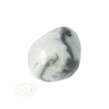 Moss agate tumbled stone round No. 29