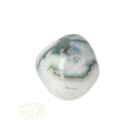 Moss agate tumbled stone round No. 29