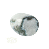 Moss agate tumbled stone round No. 29