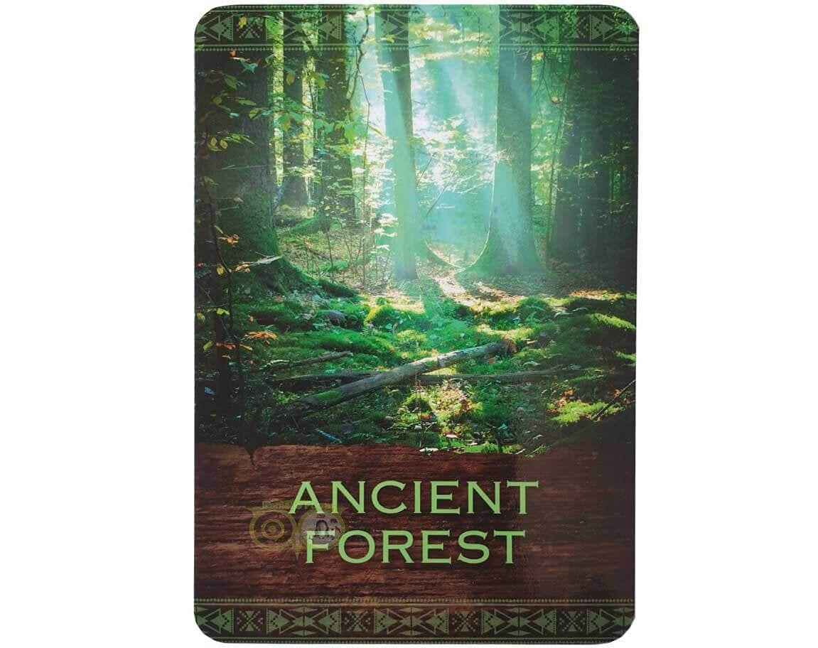 Native Spirit Oracle Cards  - Denise Linn