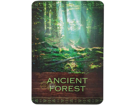 Native Spirit Oracle Cards  - Denise Linn