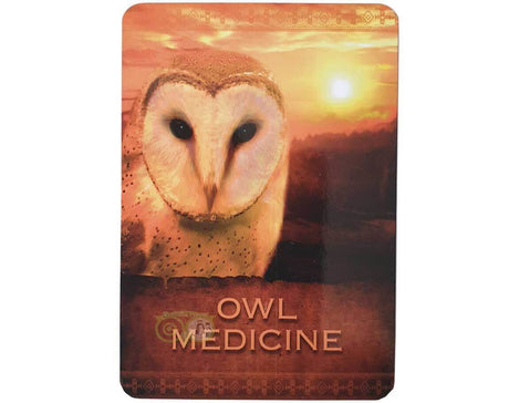 Native Spirit Oracle Cards  - Denise Linn