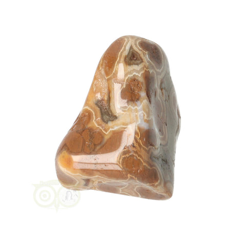Ozeanjaspis Trommelstein Nr. 24 - 21 Gramm | Edelstein