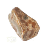 Oceaan Jaspis trommelsteen Nr 24