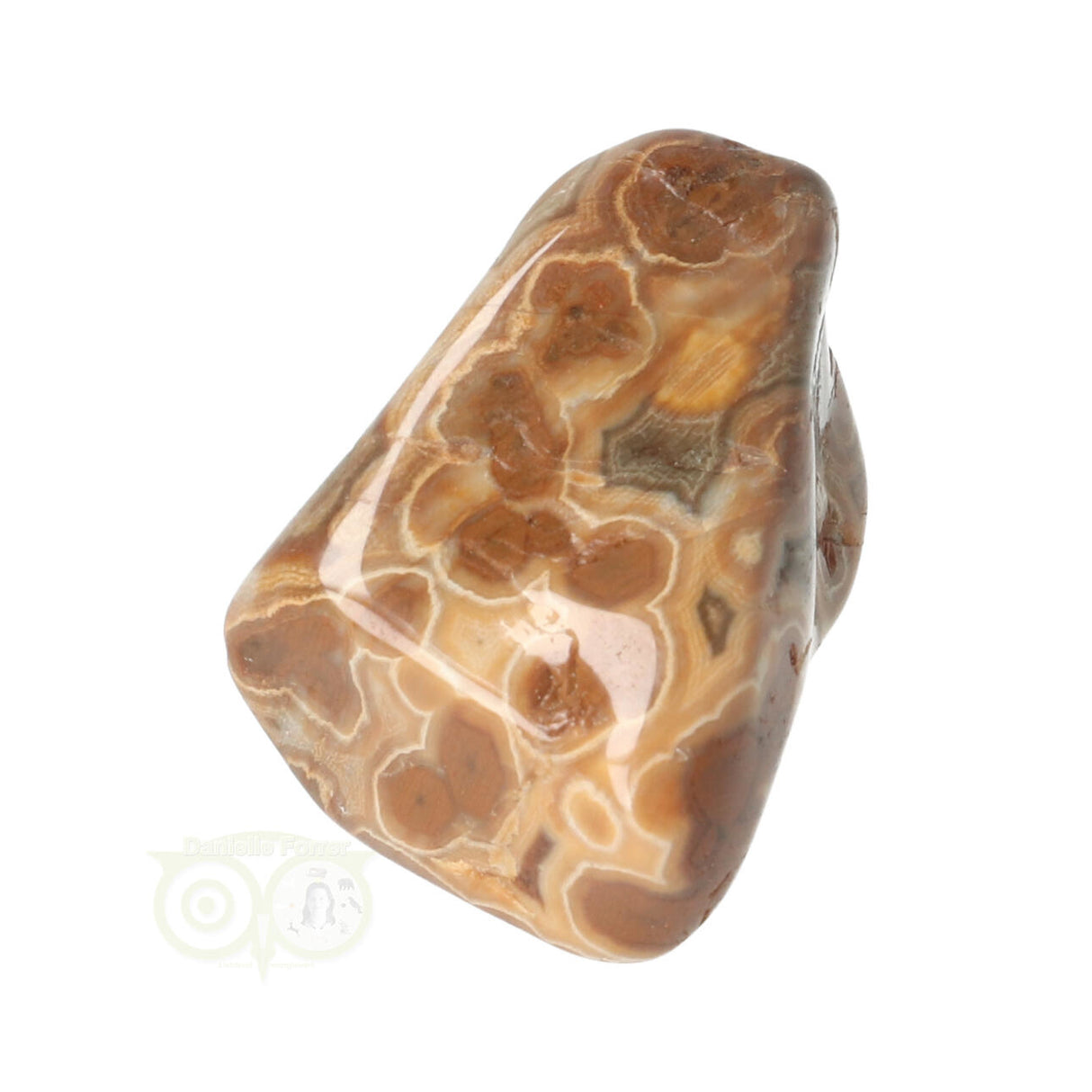 Oceaan Jaspis trommelsteen Nr 24