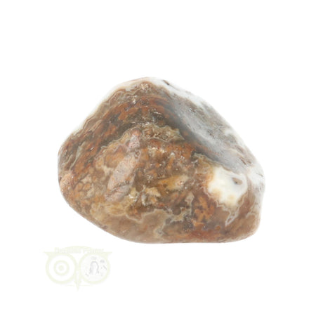 Ozean Jaspis Trommelstein Nr. 29 - 19 Gramm | Edelstein