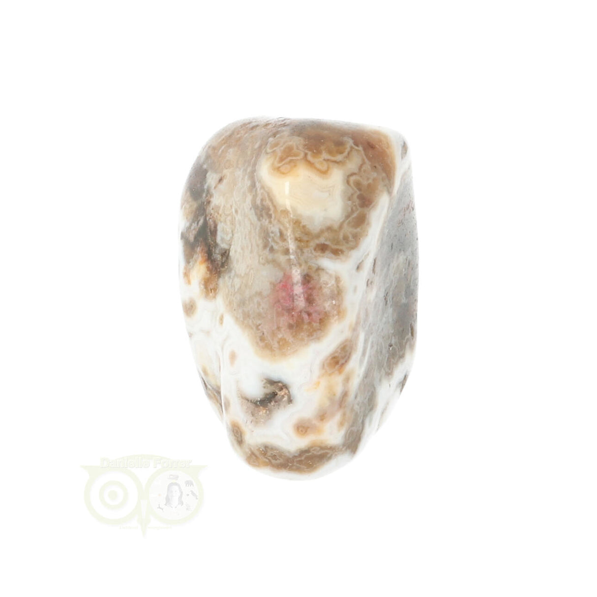 Ozeanjaspis-Trommelstein Nr. 29