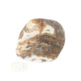 Ozeanjaspis-Trommelstein Nr. 29