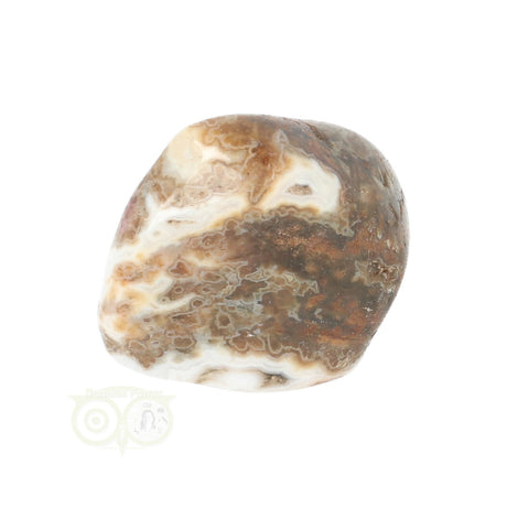 Ozean Jaspis Trommelstein Nr. 29 - 19 Gramm | Edelstein