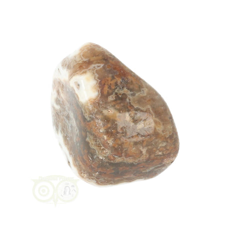 Ozean Jaspis Trommelstein Nr. 29 - 19 Gramm | Edelstein