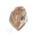 Ozeanjaspis-Trommelstein Nr. 29