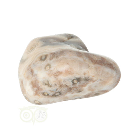 Oceaan Jaspis trommelsteen nr. 33 - 23 gram | Edelsteen