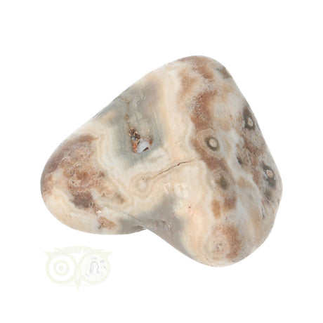 Oceaan Jaspis trommelsteen nr. 33 - 23 gram | Edelsteen