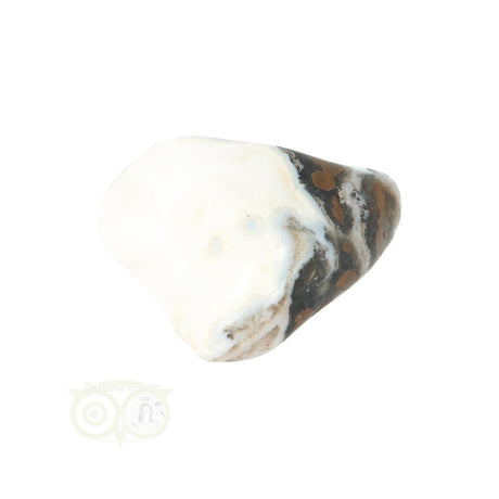 Oceaan Jaspis trommelsteen nr. 34 - 17 gram | Edelsteen