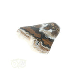 Ozeanjaspis-Trommelstein Nr. 34