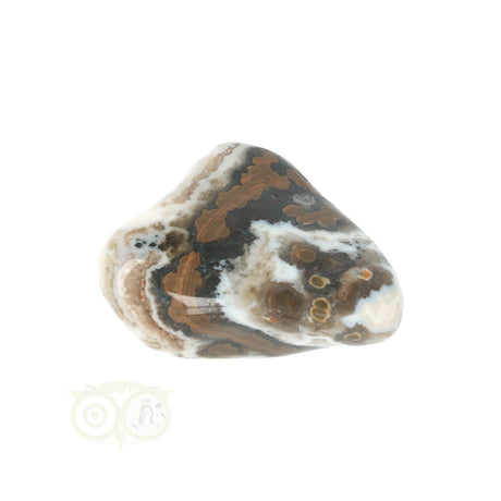 Oceaan Jaspis trommelsteen nr. 34 - 17 gram | Edelsteen