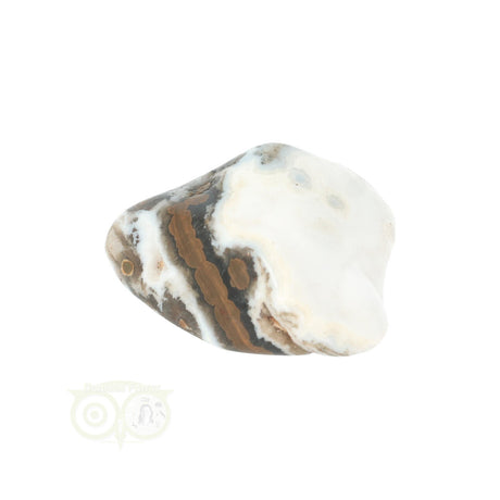 Oceaan Jaspis trommelsteen nr. 34 - 17 gram | Edelsteen