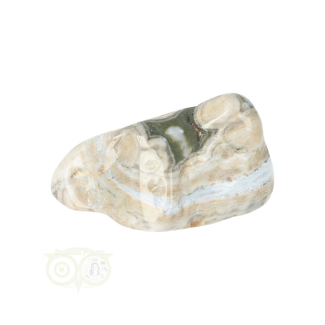 Oceaan Jaspis trommelsteen nr. 37 - 37 gram | Edelsteen
