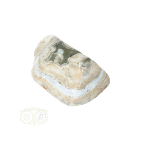 Oceaan Jaspis trommelsteen nr. 37 - 37 gram | Edelsteen