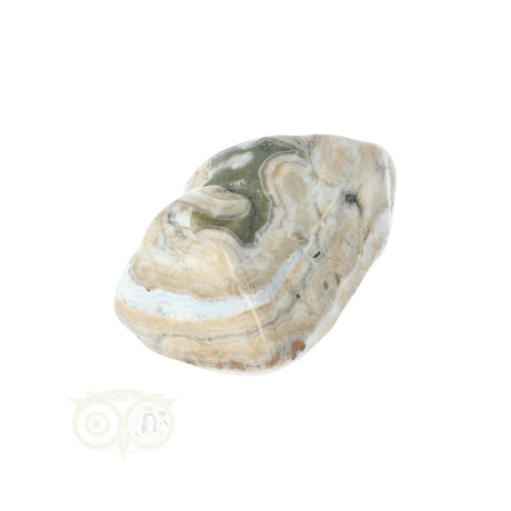 Oceaan Jaspis trommelsteen nr. 37 - 37 gram | Edelsteen