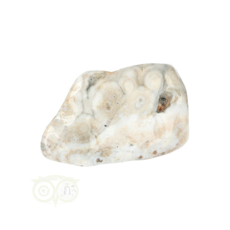Oceaan Jaspis trommelsteen nr. 37 - 37 gram | Edelsteen