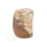 Oceaan Jaspis trommelsteen Nr 40