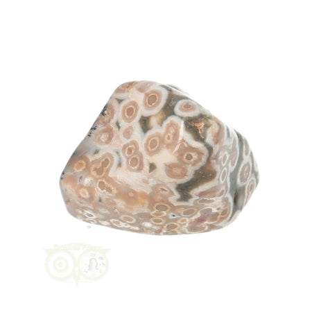 Ocean Jasper tumbled stone no. 41 - 15 grams | Gemstone