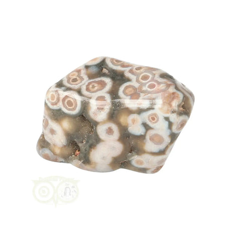 Ocean Jasper tumbled stone no. 41 - 15 grams | Gemstone