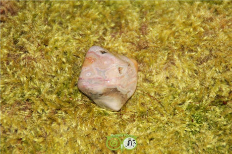 Ocean Eyes Jasper OOJ-RM-10-23