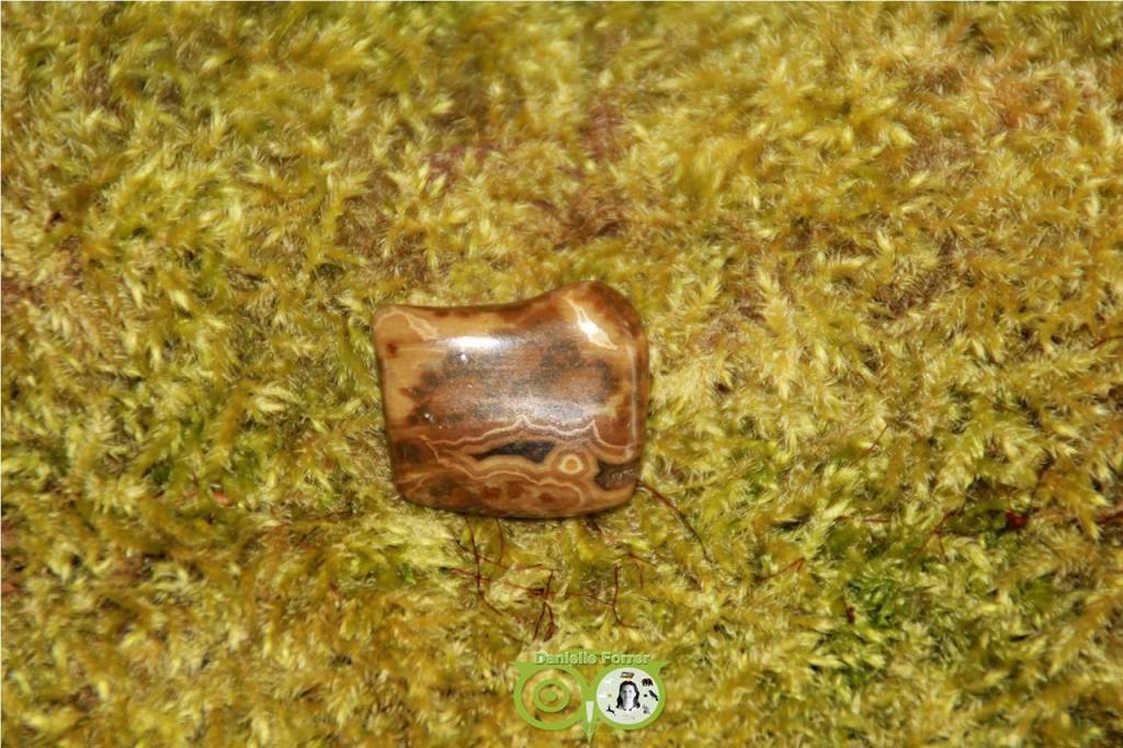 Ocean Eyes Jasper OOJ-RM-11-11