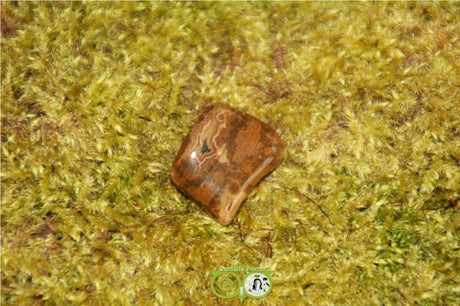 Ocean Eyes Jasper OOJ-RM-11-11