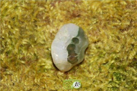 Ocean Eyes Jasper OOJ-RM-14-14