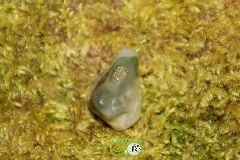 Oceaan Oogjes Jaspis OOJ-RM-14-14