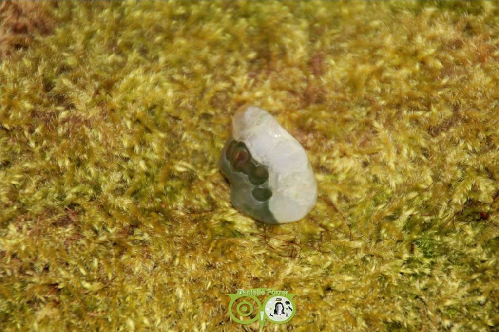 Oceaan Oogjes Jaspis OOJ-RM-14-14