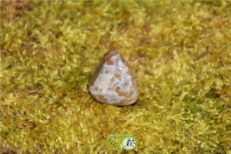 Ocean Eyes Jasper OOJ-RM-7-23