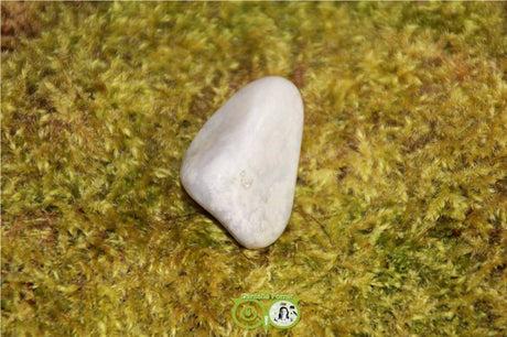 Ocean Eyes Jasper OOJ-RM-9-32