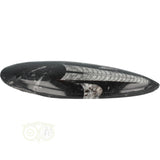 Orthoceras Fossiel geslepen Nr 19