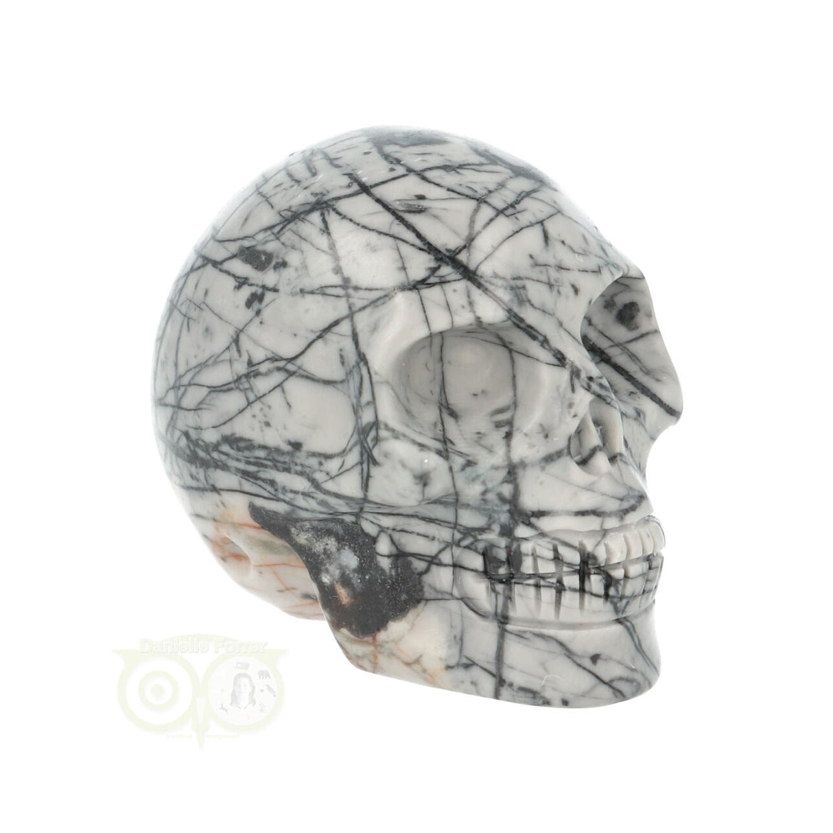 Picasso Jaspis schedel Nr 10