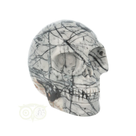 Picasso Jaspis schedel Nr 10