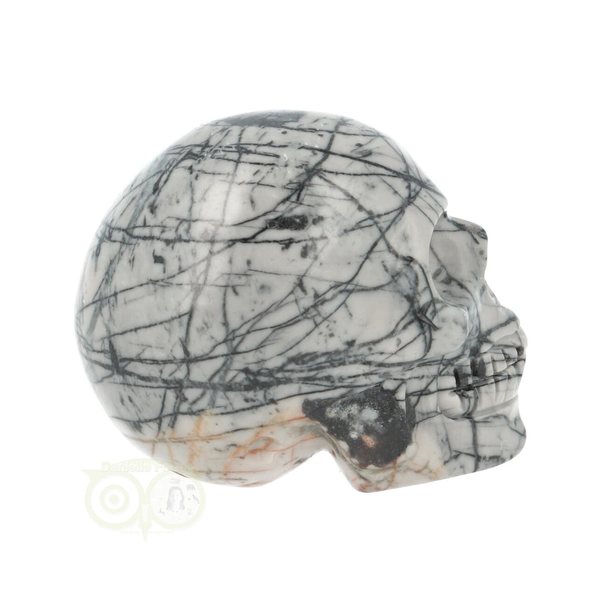 Picasso Jaspis schedel Nr 10