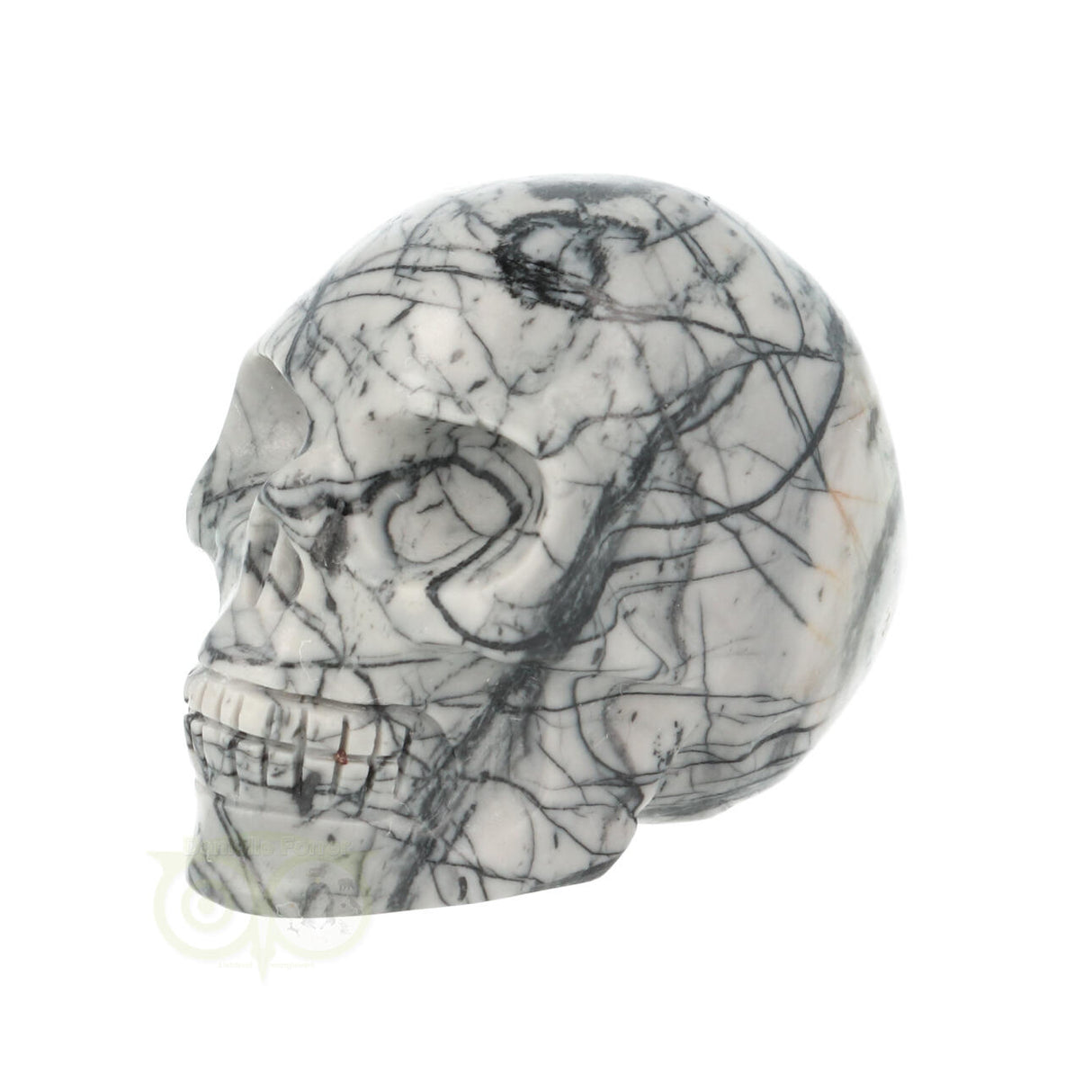 Picasso Jaspis schedel Nr 10