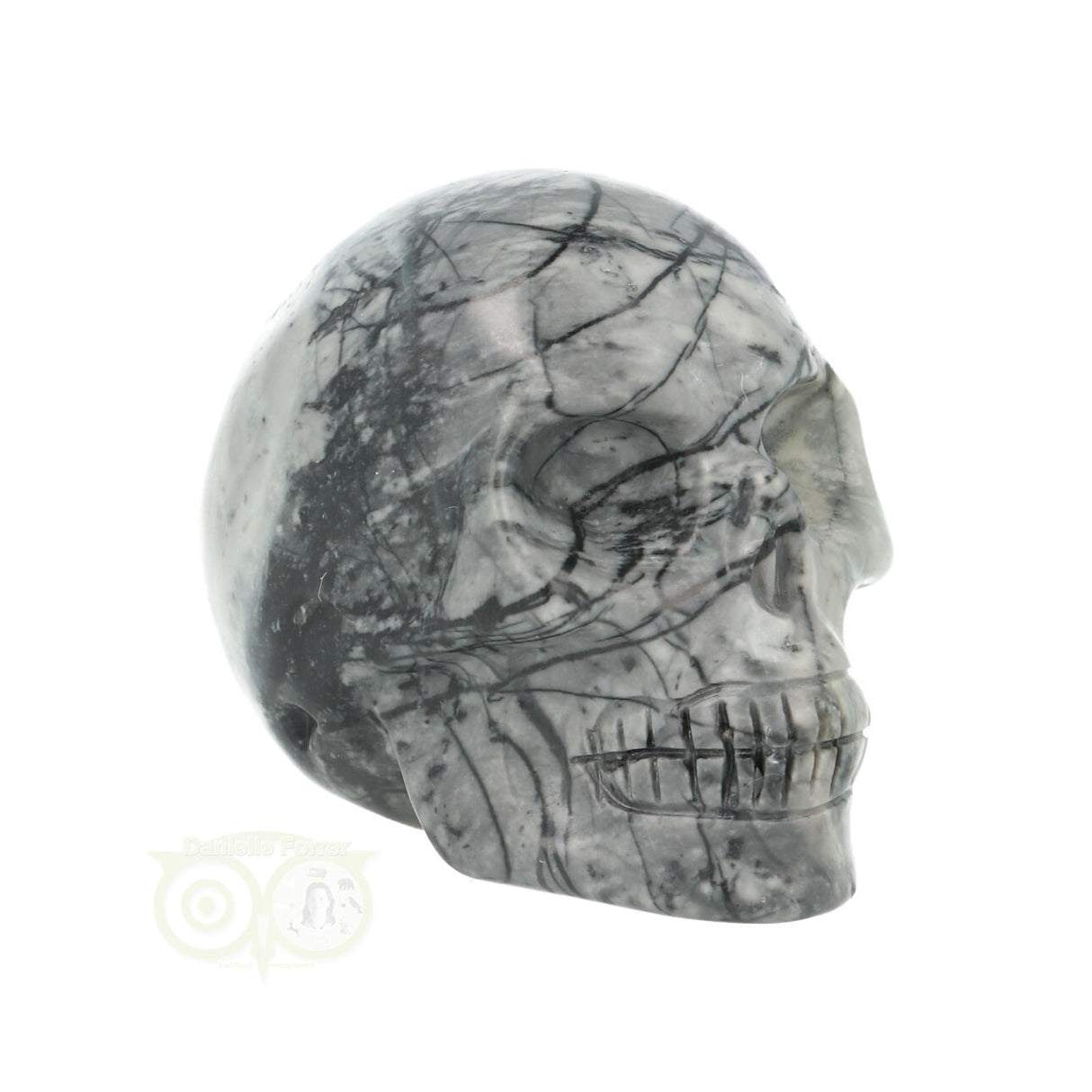 Picasso Jasper Skull No. 17