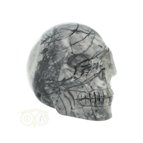 picasso jaspis schedel nr 17 106 gram