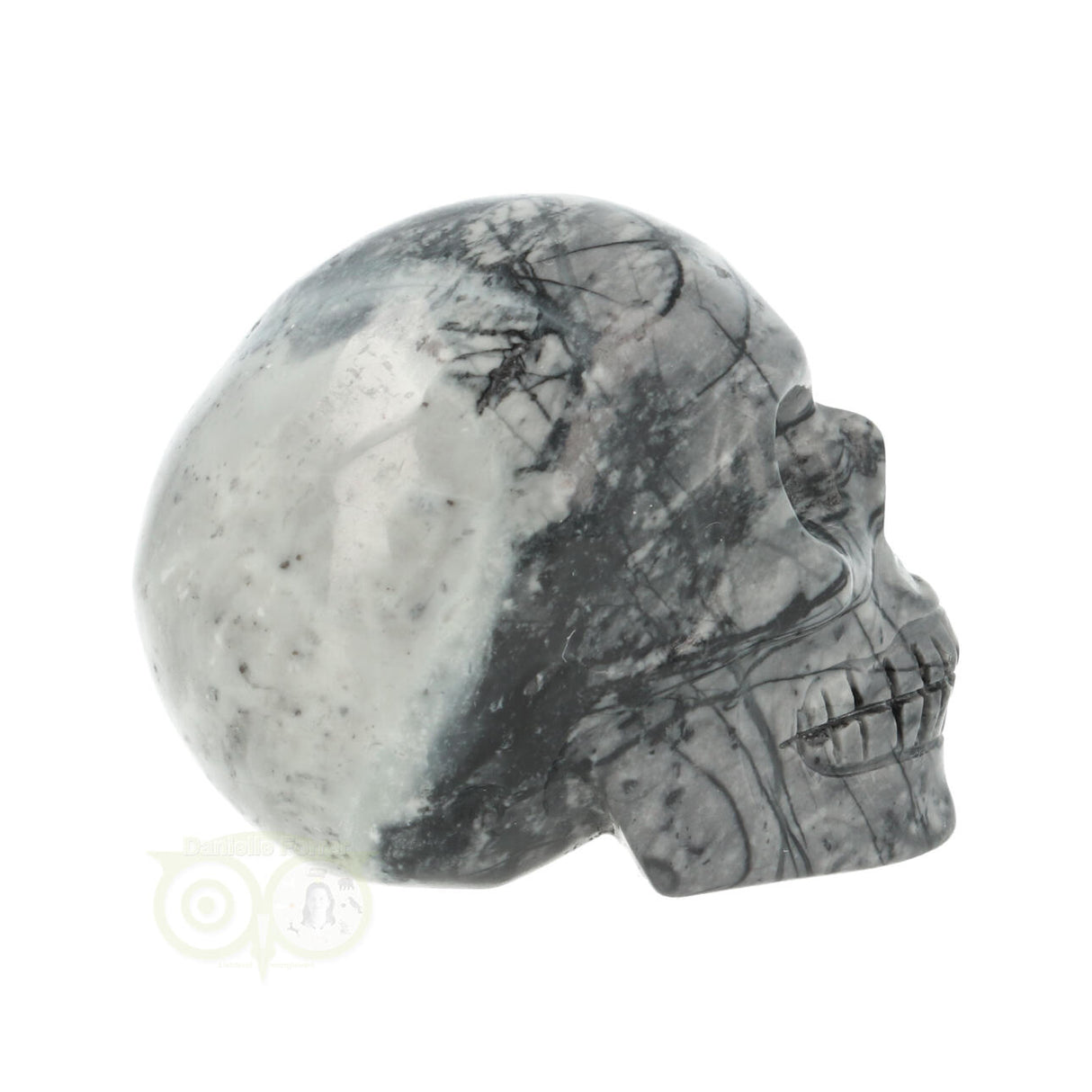 Picasso Jasper Skull No. 17
